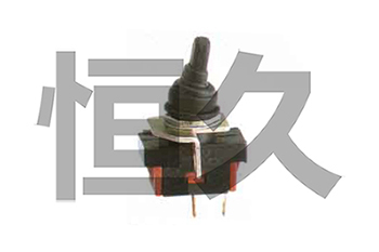 JN15-24/31.5戶(hù)內(nèi)高壓接地開(kāi)關(guān)